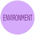 ENVIRONMENT